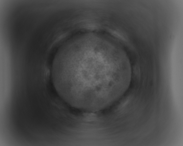 X0000100901302200807081054