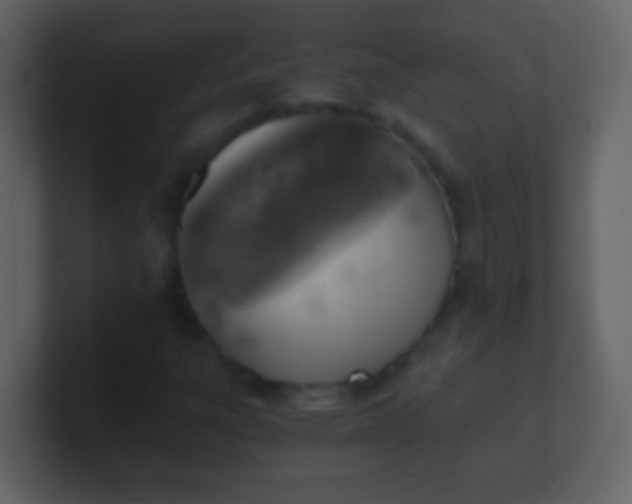 X0000100901303200807081054