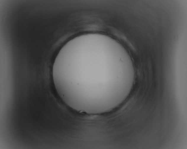 X0000100901304200807081054