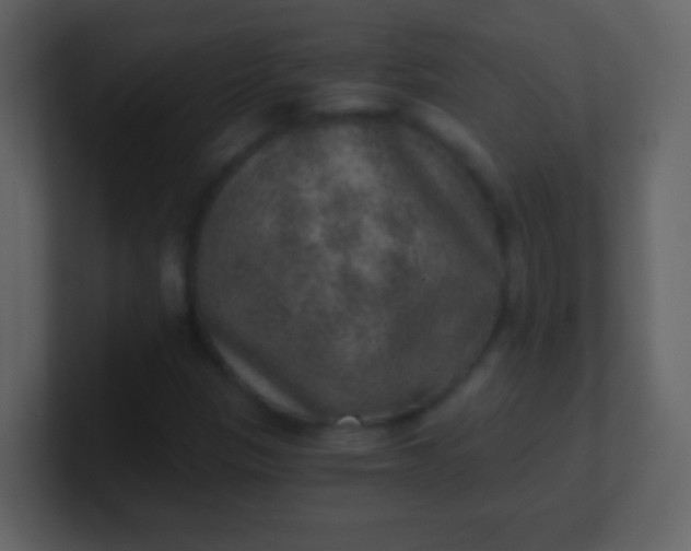 X0000100901305200807081054