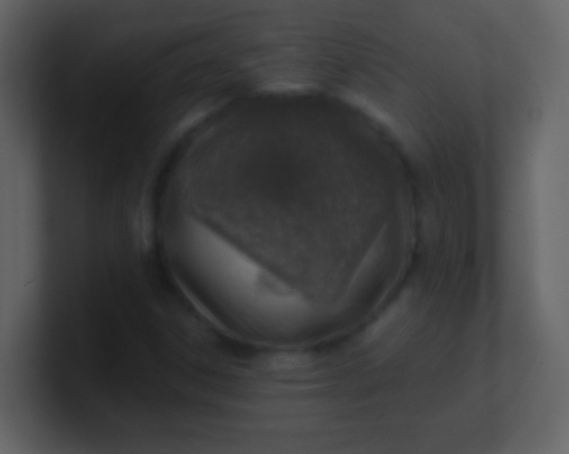 X0000100901306200807081054