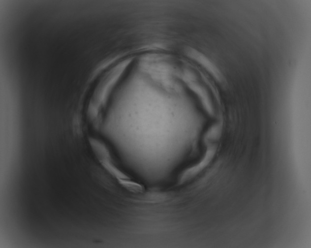 X0000100901308200807081054