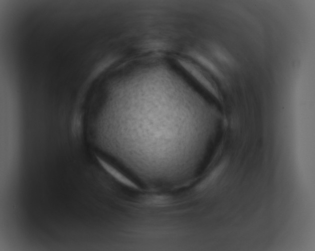 X0000100901309200807081054