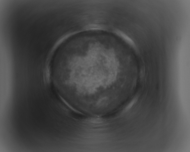 X0000100901310200807081054