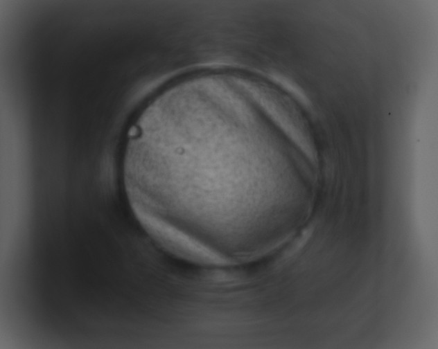 X0000100901311200807081054