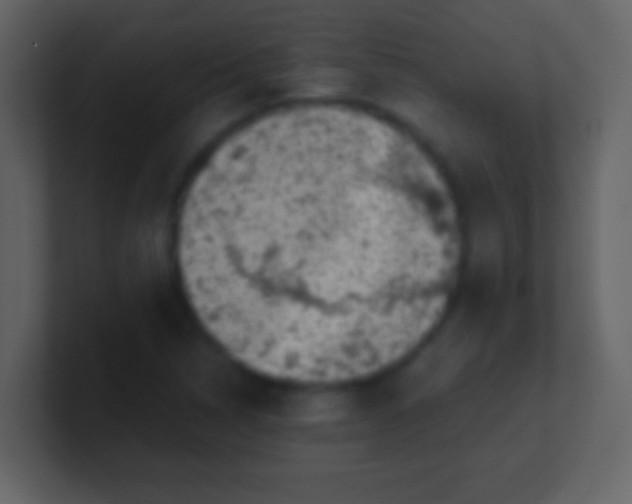 X0000100901314200807081054