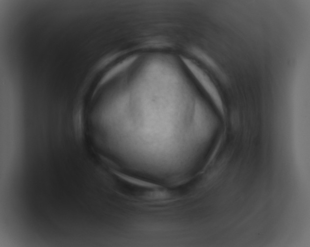 X0000100901315200807081054