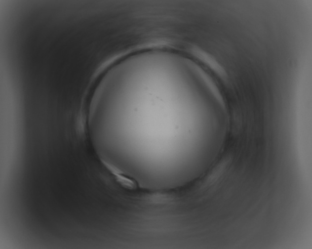 X0000100901316200807081054