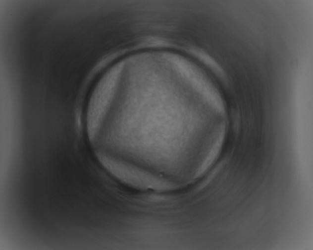 X0000100901318200807081054