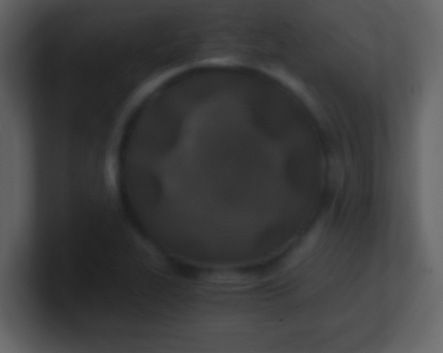 X0000100901319200807081054