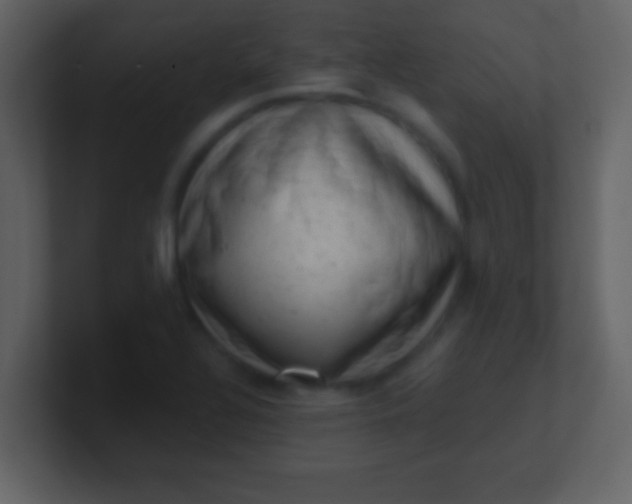 X0000100901320200807081054