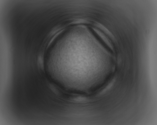 X0000100901321200807081054