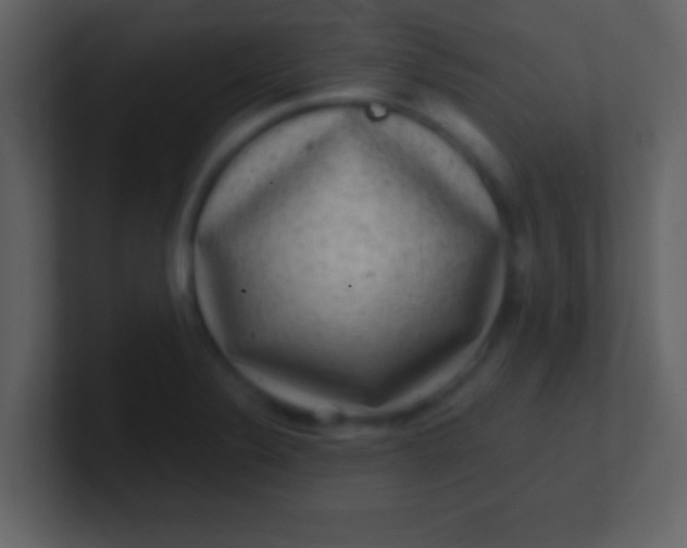 X0000100901324200807081054