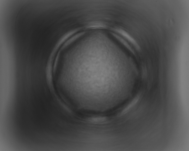 X0000100901325200807081054