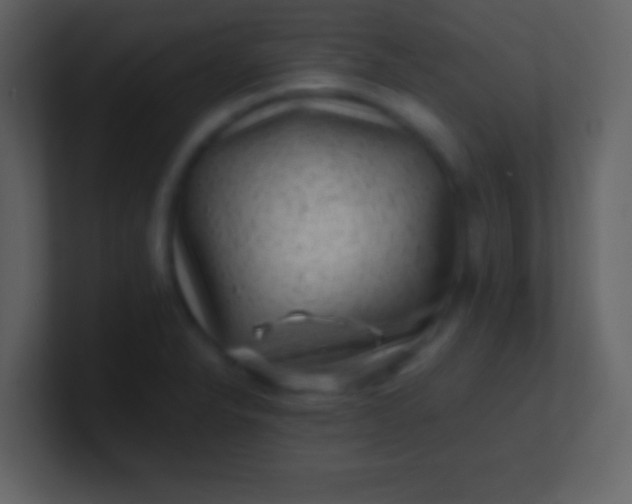 X0000100901326200807081054