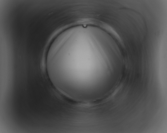 X0000100901328200807081054