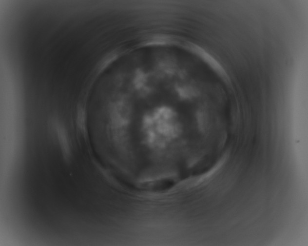 X0000100901329200807081054