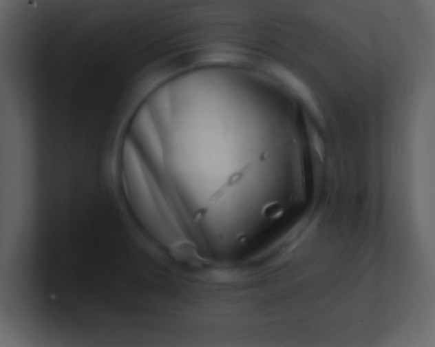 X0000100901330200807081054