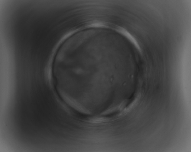 X0000100901331200807081054