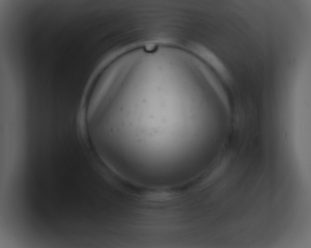 X0000100901332200807081054