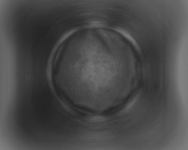 X0000100901333200807081054