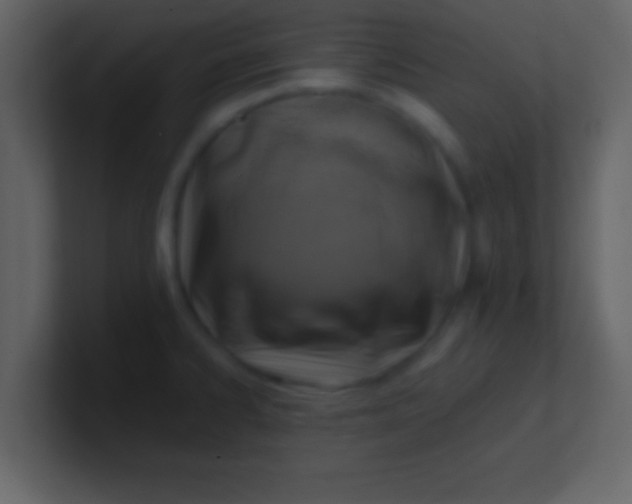 X0000100901334200807081054