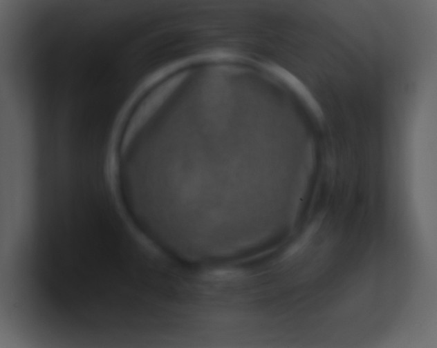 X0000100901335200807081054