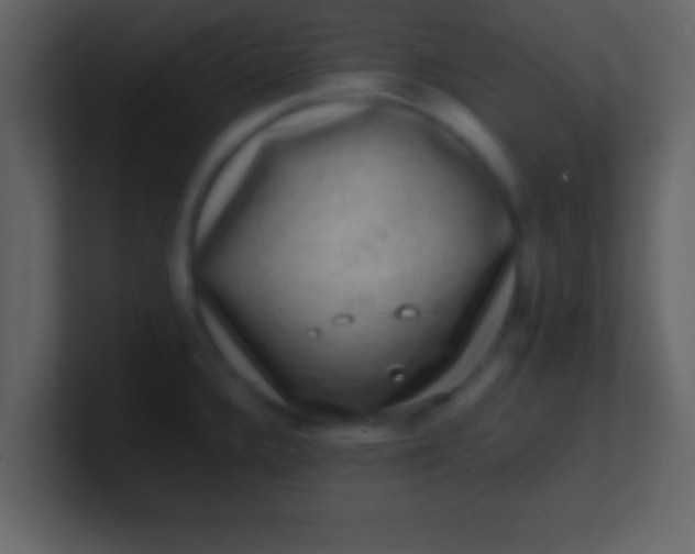 X0000100901336200807081054