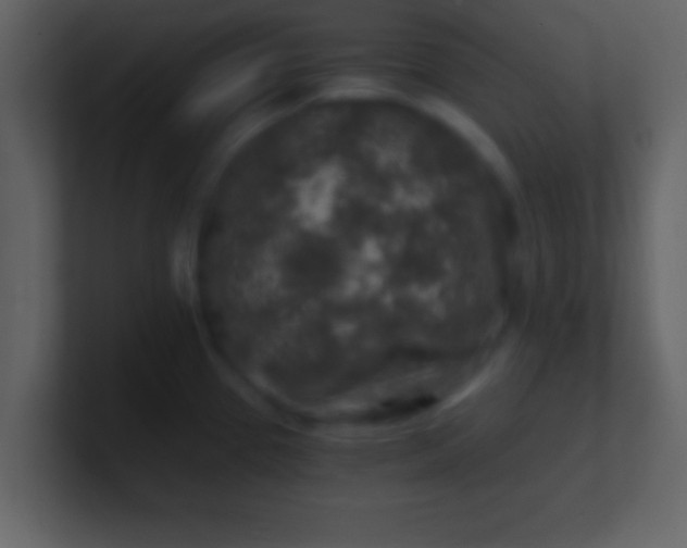 X0000100901337200807081054