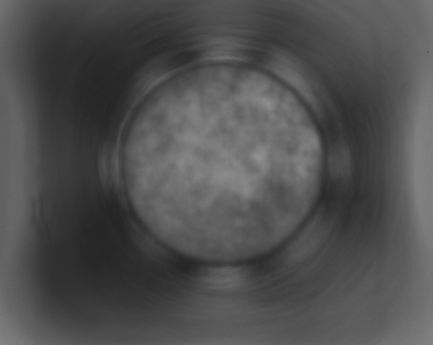 X0000100901338200807081054