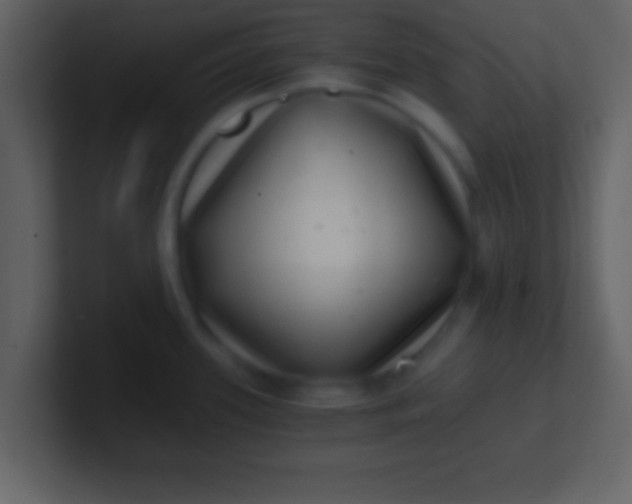 X0000100901339200807081054