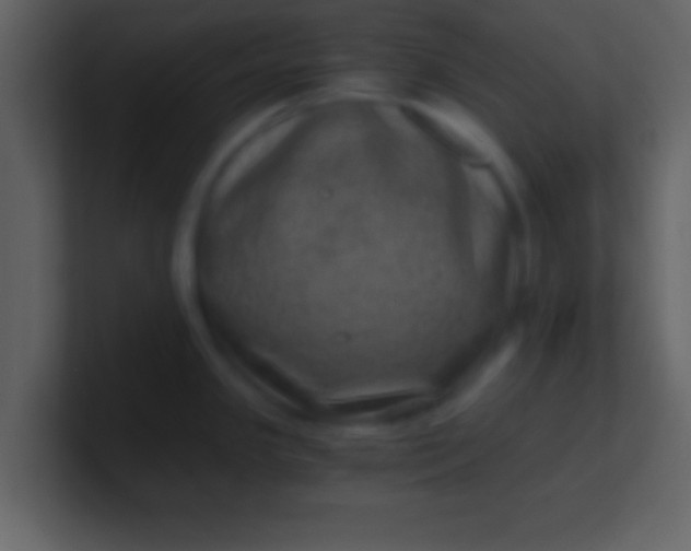 X0000100901341200807081054