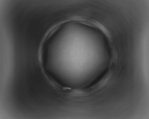 X0000100901342200807081054