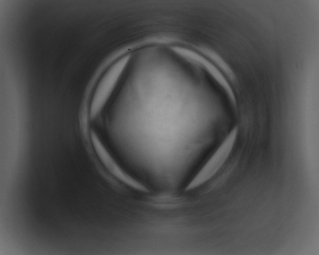 X0000100901343200807081054