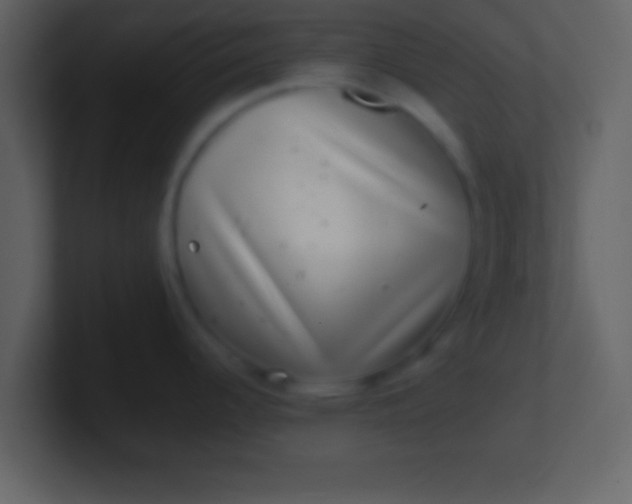 X0000100901344200807081054