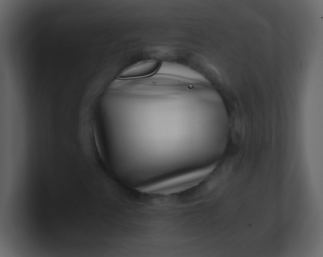 X0000100901345200807081054