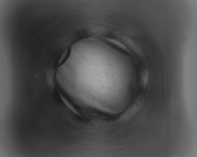 X0000100901346200807081054