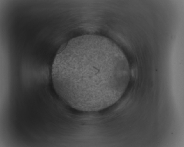 X0000100901347200807081053