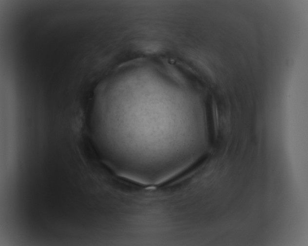 X0000100901349200807081053