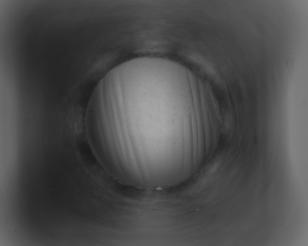 X0000100901350200807081053