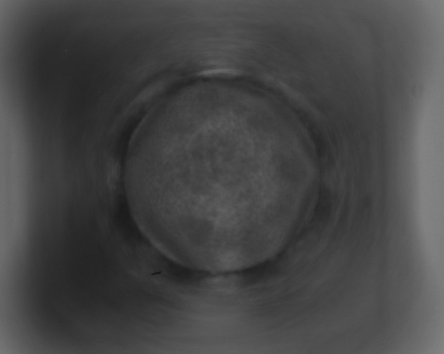 X0000100901351200807081053