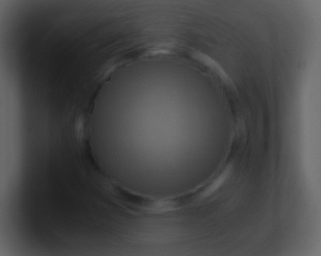 X0000100901353200807081053