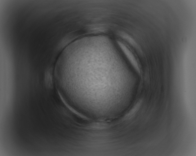 X0000100901354200807081053