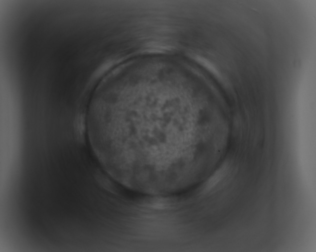 X0000100901355200807081053