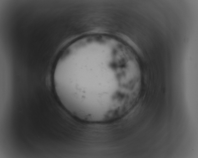 X0000100901356200807081053