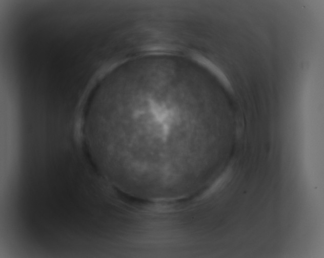 X0000100901357200807081053