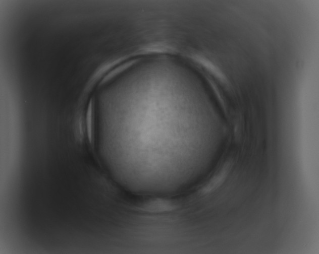 X0000100901358200807081053