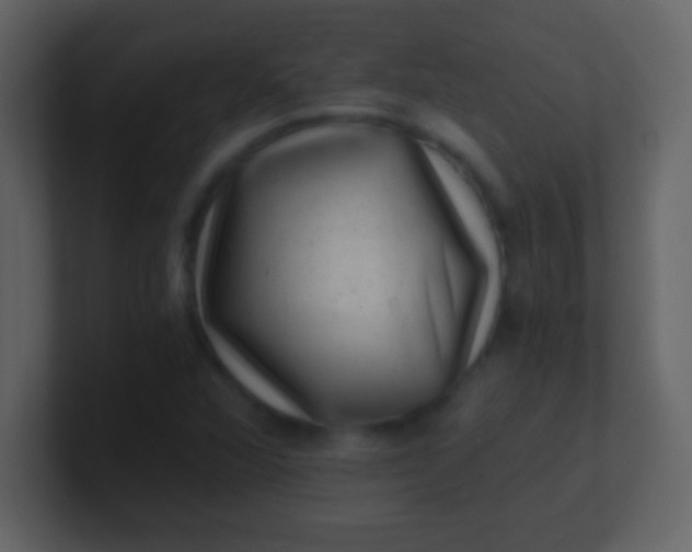 X0000100901360200807081053