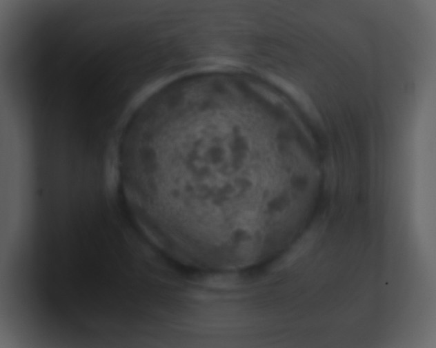 X0000100901363200807081053