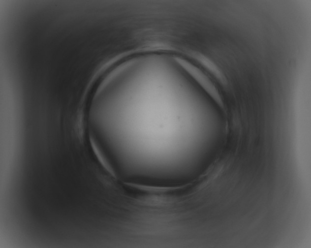 X0000100901364200807081053